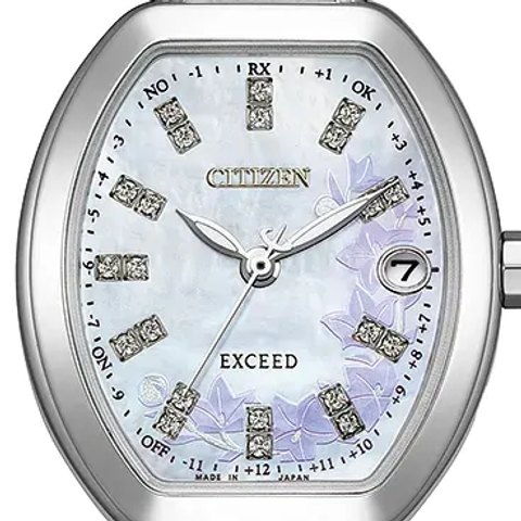 Citizen Exceed Eco-Drive Radio-Controlled Limited (ES9481-53N)