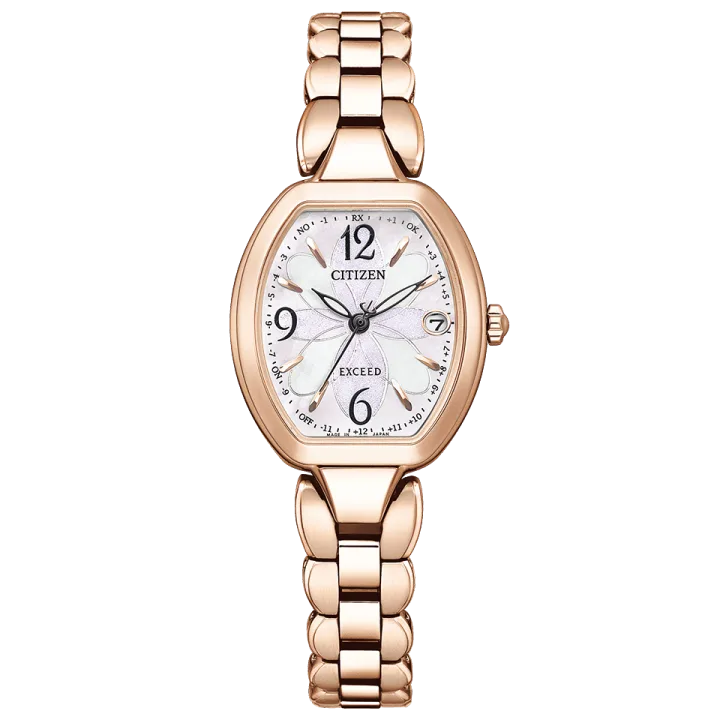 Citizen Exceed (ES9482-51W)