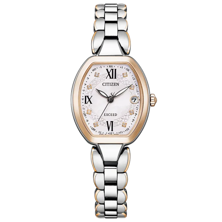 Citizen Exceed (ES9484-55W)