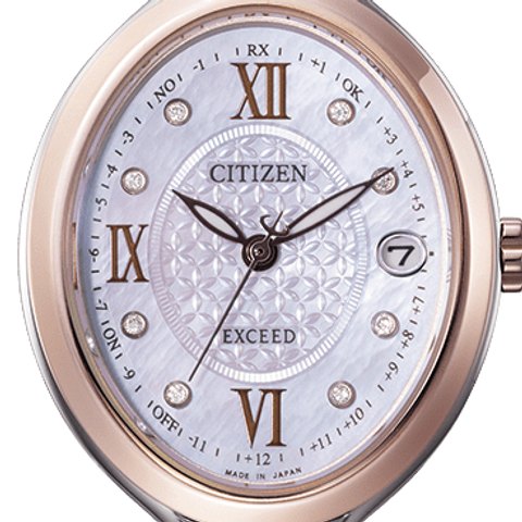 Citizen Exceed Eco-Drive Radio-Controlled (ES9515-53N)