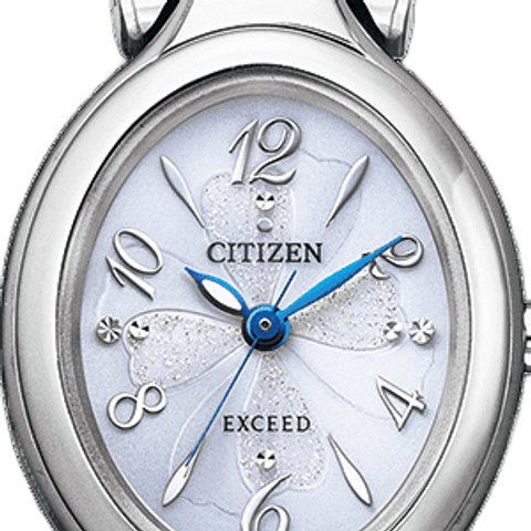Citizen Exceed Eco-Drive Radio-Controlled (EX2040-55A)