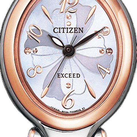 Citizen Exceed Eco-Drive Radio-Controlled (EX2044-54W)