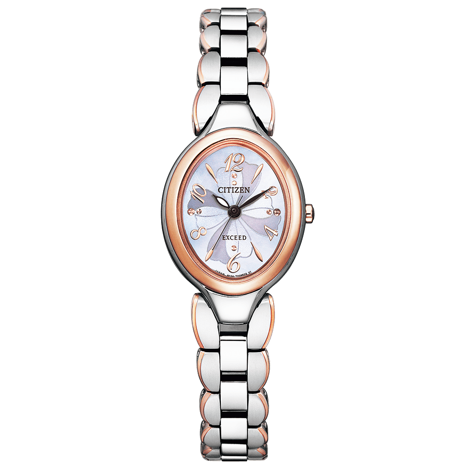 Citizen Exceed Eco-Drive Radio-Controlled (EX2044-54W)