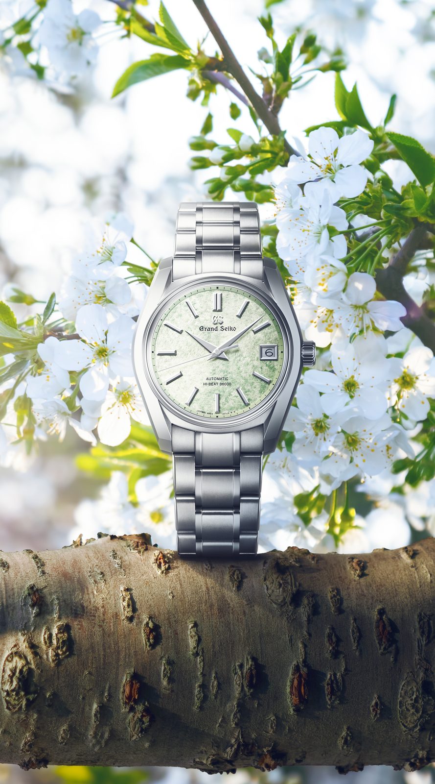 Grand Seiko Heritage 62GS Hi-Beat 36000 Sakura-Wakaba (SBGH343)