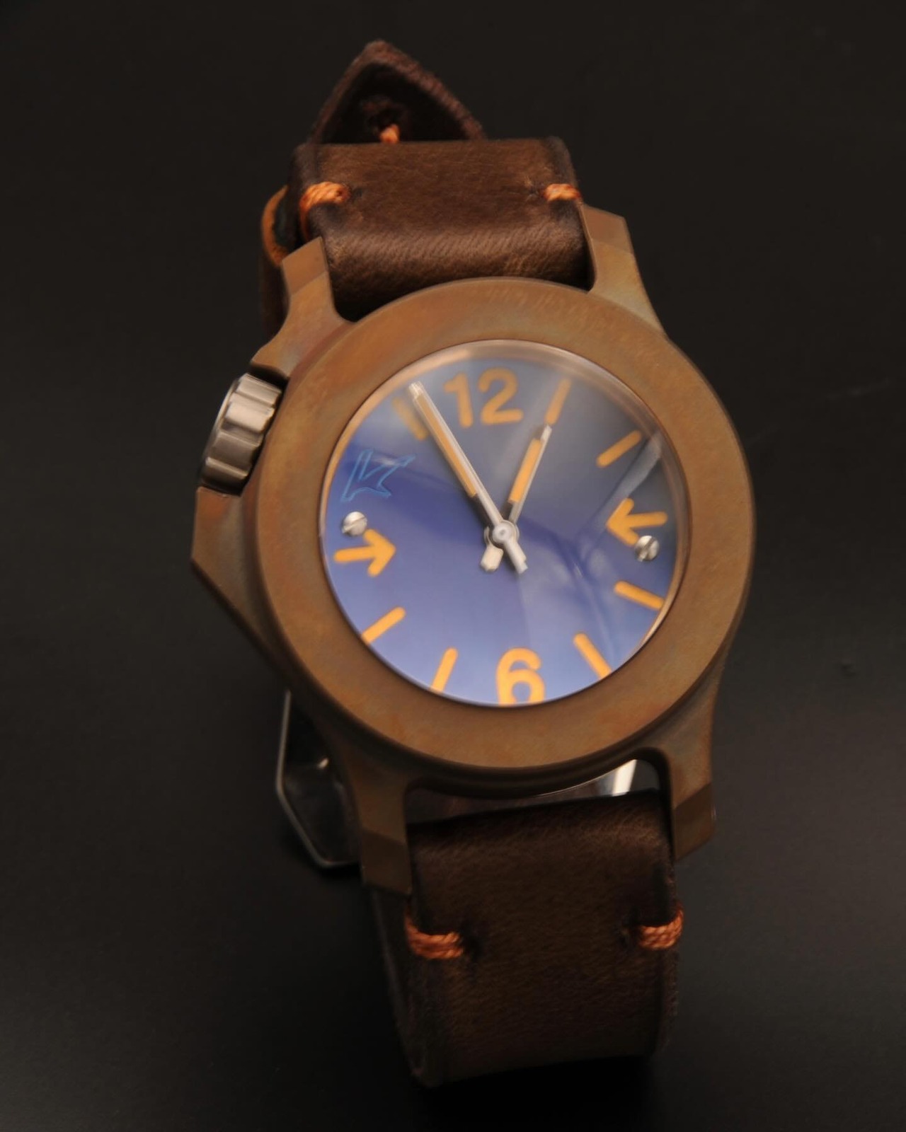 Kaventsmann Triggerfish Bronze