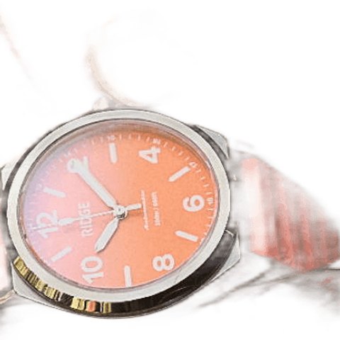 Ridge Titanium Field Watch