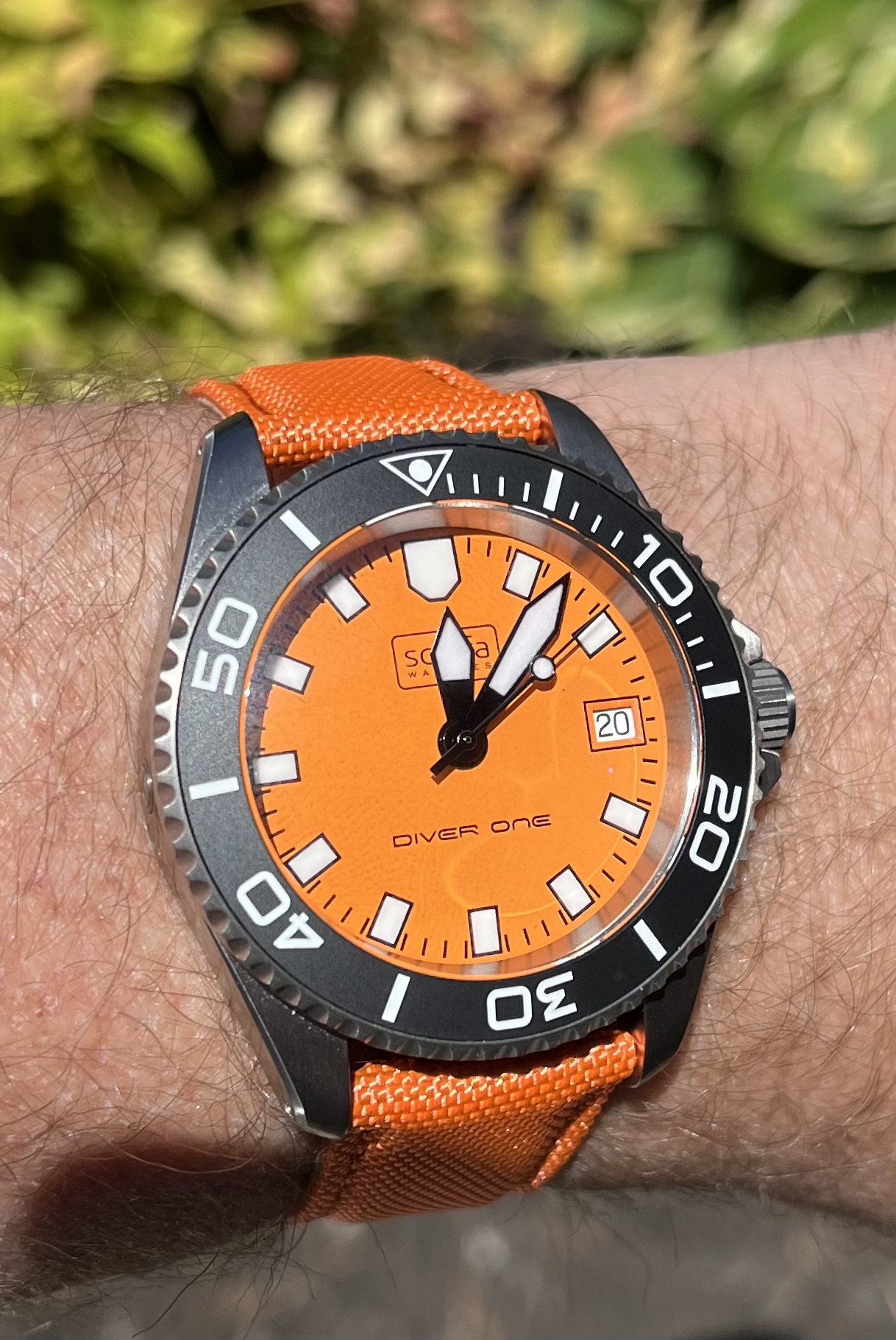 Scurfa Diver One Titanium