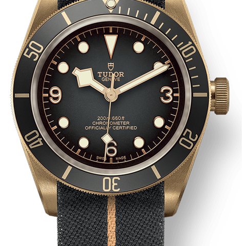 Tudor Black Bay Bronze