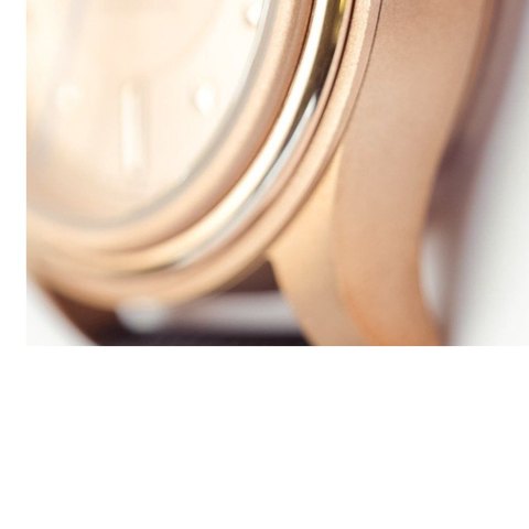 Vero x Wildwood Studio Edition Bronze