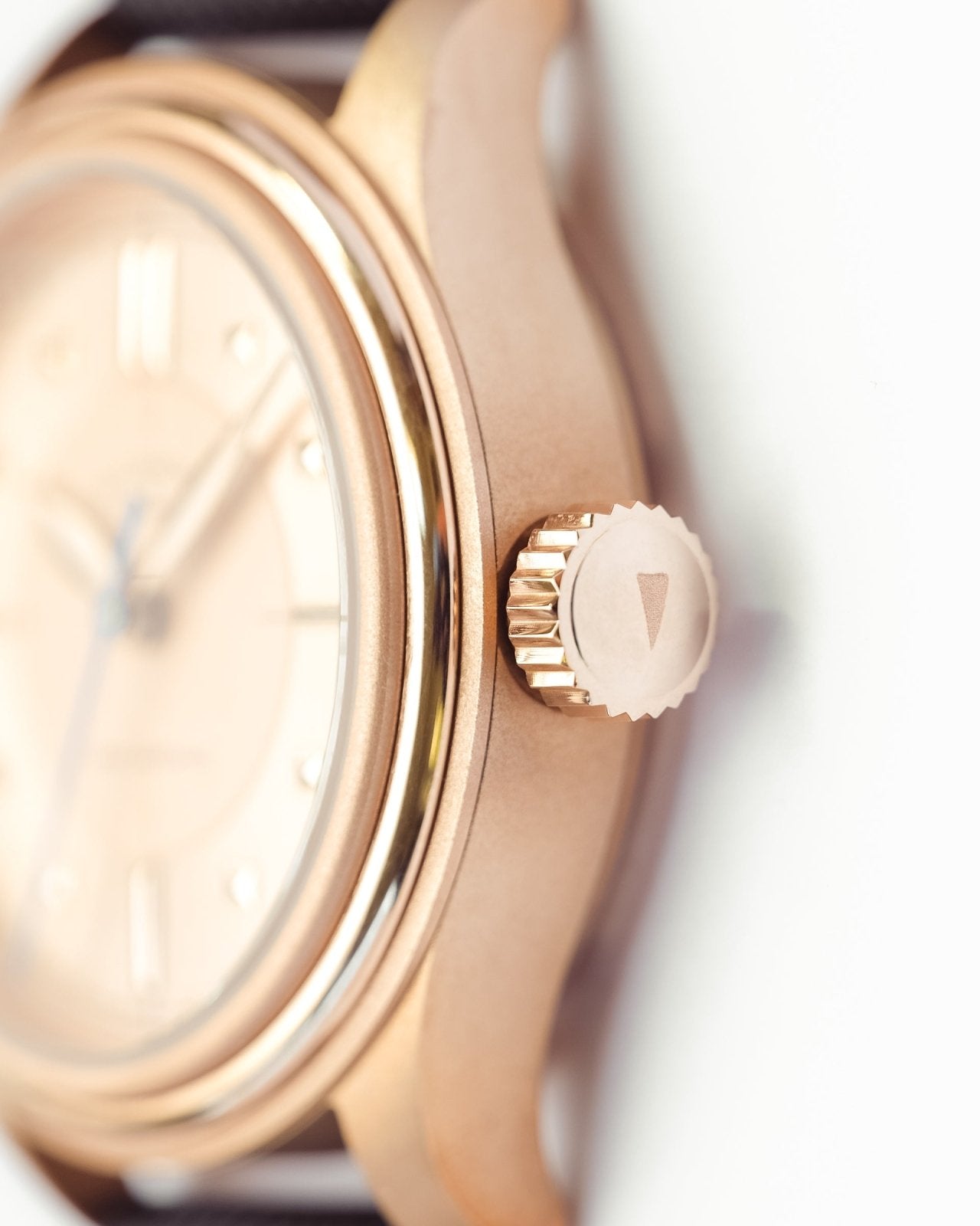 Vero x Wildwood Studio Edition Bronze